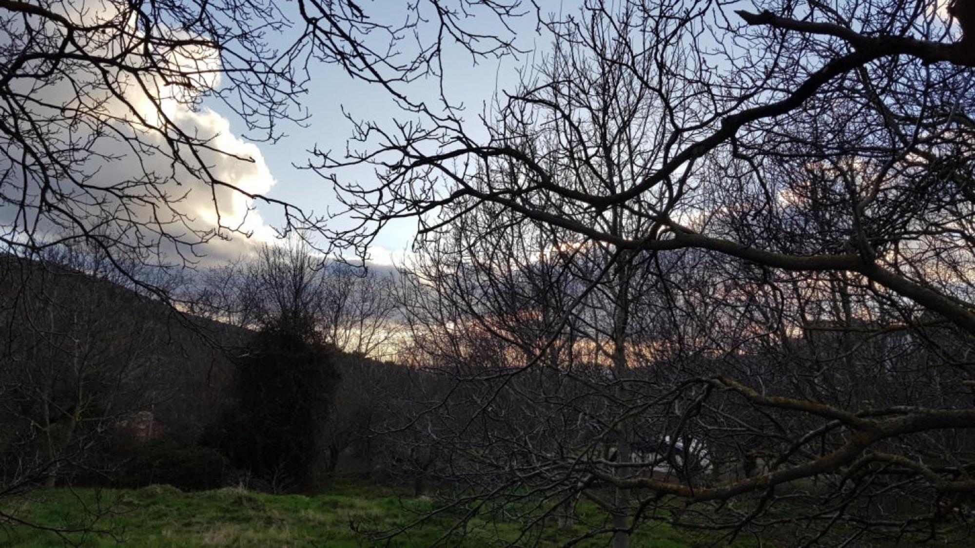 Las Abadias San Felices de los Gallegos Esterno foto